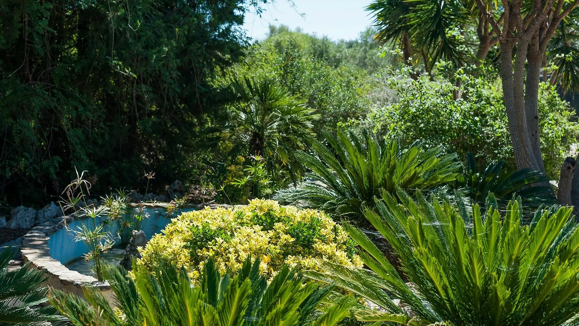 Villa Conchita Sencelles 0*,